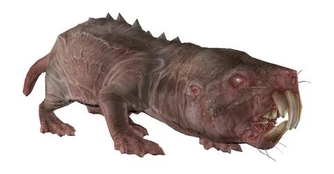 Mole rat (Fallout 4) - The Vault Fallout Wiki - Everything y