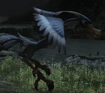 Ffxiv Arbor Buzzard Location 4 Images - 14 Final Fantasy Xiv