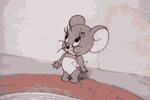 Tom And Jerry Nibbles GIF - Tom And Jerry Nibbles Baby Mouse