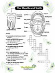 dental crossword Soft palate, Dental, Hygienist
