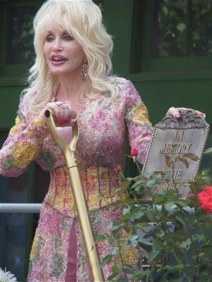 Dolly Parton ... @ Dollywood Dolly parton costume, Dolly par