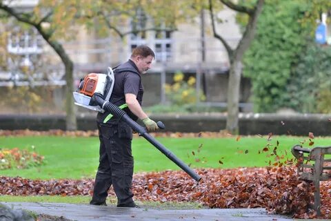 Leaf Blowers & Threats to Hearing Signal Spring's Return Ame