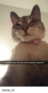 I Showed You My Toe Beans Please Respond IRL Meme on astrolo