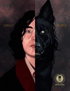 Young Sirius Black, Douglas Nogueira Harry potter sirius, Yo