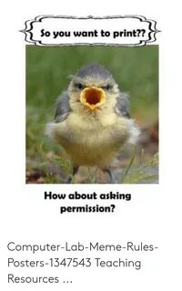 ✅ 25+ Best Memes About Chicken Permission Meme Chicken Permi