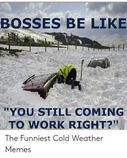 🔥 25+ Best Memes About Cold at Work Meme Cold at Work Memes