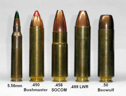 5.56 - .450 Bushmaster - .458 Socom - .499 LWR - .50 Beowulf