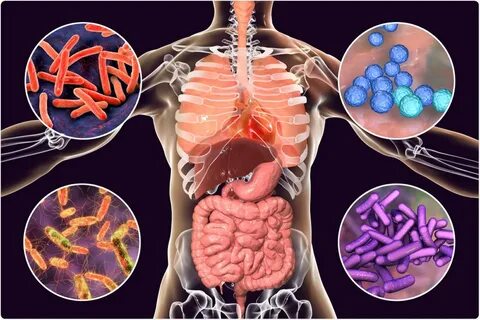 Gut and oral microbiomes predict COVID-19 severity
