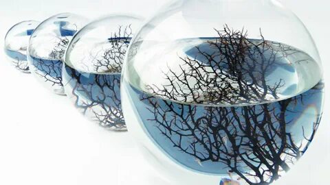Ecosphere On Steam
