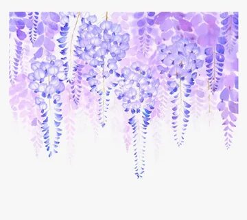 #freetoedit #lavender #hanging #flowers #border - Wisteria F