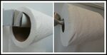 Flying Toilet Paper Milesia