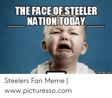🐣 25+ Best Memes About Steelers Fan Meme Steelers Fan Memes
