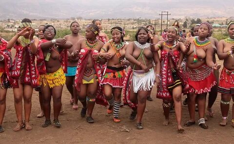 south africa - zulu reed dance ceremony Zulu Reed Dance Ce. 