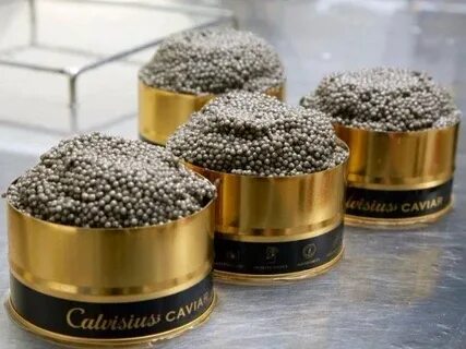 Caviar Calvisius Tradition Royal - Intense Gourmet