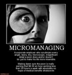 Quotes about Micromanaging (26 quotes)