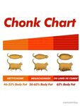 Gallery of cat chonk chart poster - chonk chart cat cat chon
