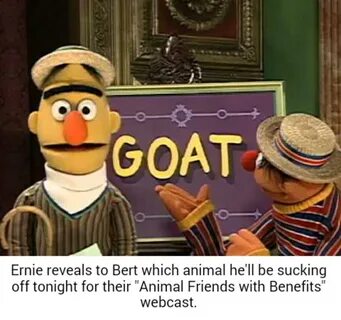 I regret nothing. Bertstrips Know Your Meme