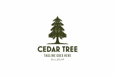 16 Cedar Tree Coloring Pages - Printable Coloring Pages