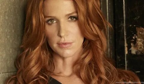 Poppy Montgomery Wallpapers (10 HD) - Daily Backgrounds In H