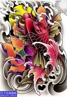 彩 色 鲤 鱼 荷 花 纹 身 手 稿 图 案 图 片"升 子 纹 身" Koi tattoo design, Japa