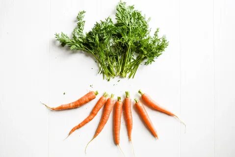 Carrot Top Pesto Kenan Hill