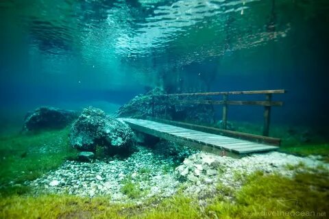 Underwater Park Austria - Unique Phenomena of The World Unde