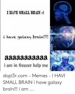 I HAVE SMALL BRAIN I Have Galaxy Brain! M in Freezer Help Me