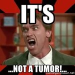 Arnold Schwarzenegger Its Not A Tumor Meme - Captions Trendy
