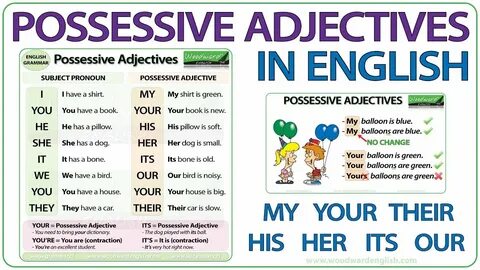 Possessive Adjectives in English - Grammar Lesson - YouTube