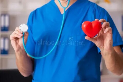 The Male Doctor Cardiologist Holding Heart Model Stock Photo