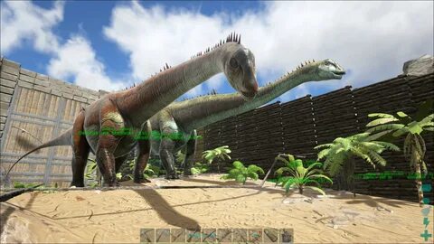 Diplodocus Ark / Diplodocus Dododex Ark Survival Evolved - B