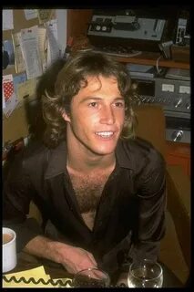 Pin by Alison Hansell on Andy Gibb Photos Andy gibb, Andy, B