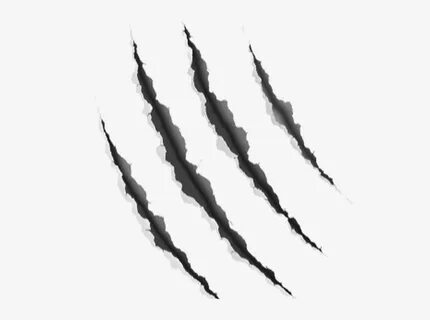 Photo - Claw Marks Transparent PNG - 530x530 - Free Download