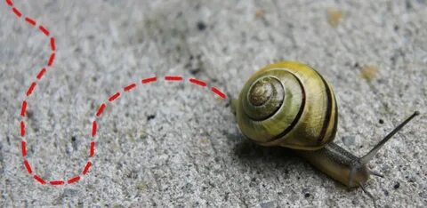 Snail Trail GPS Sports Tracker - Versi Terbaru Untuk Android