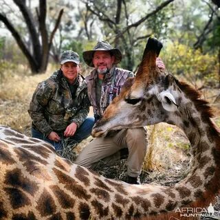 Giraffe Hunt With KEMP AFRICAN SAFARIS AfricaHunting.com