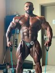 Persian Muscle Gods: IFBB Pro Hadi Choopan