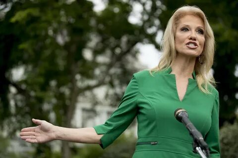 Kellyanne Conway: Mail-in ballots are actually to stop peopl