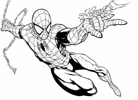 Black Spiderman Drawing At Getdrawings 8B4