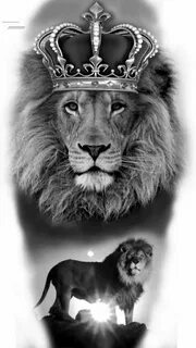 Lion Of Judah Drawing - Фото база
