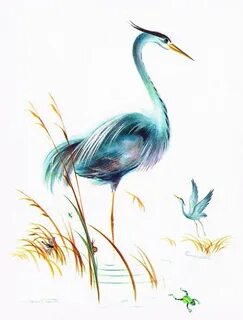 Great Blue Herons - Frans Van Lamsweerde Heron art, Heron ta