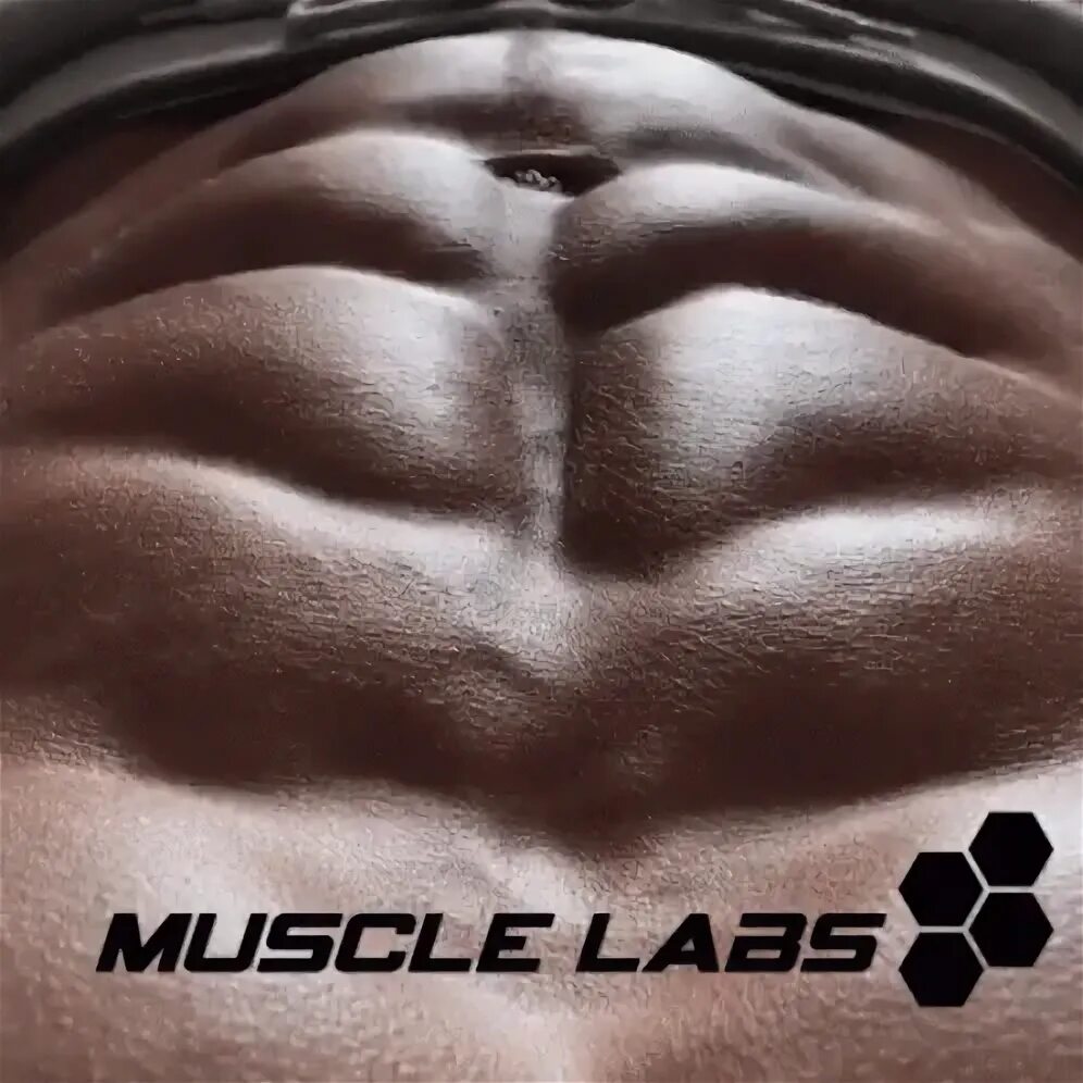Abs 6pack GIF - Abs 6Pack Stomach Muscles - Discover & Share