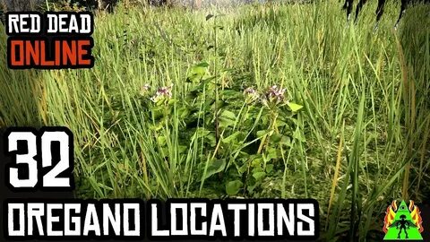 Red Dead Redemption 2 Online - OREGANO LOCATIONS - YouTube