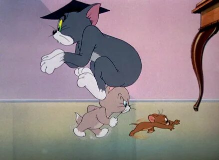 Tom & Jerry Pictures: "Professor Tom"