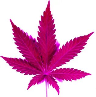 Weed Tumblr - Marijuana: The Gateway To Abundance - (1024x10