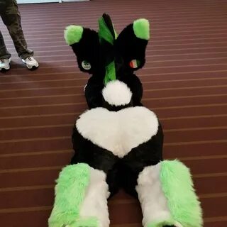 #fursuitfriday #fursuit #furryfandom #furry #thicc #corgi #fursuitbutts Hap...