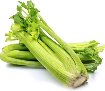 Celery Information and Facts