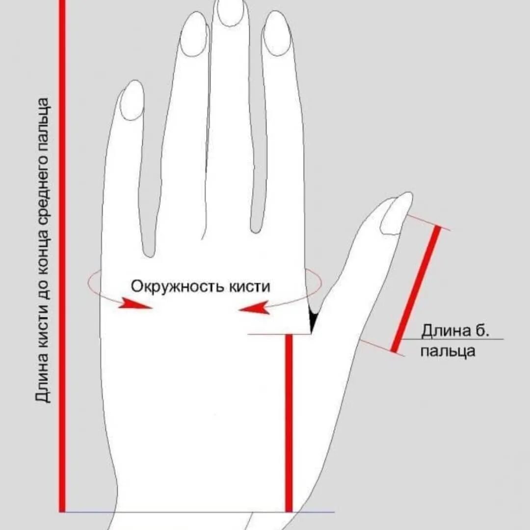 длина члена длина пальцев руки фото 61
