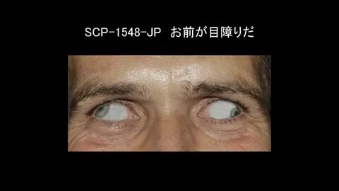 ゆ っ く り 朗 読) SCP-1548-JP お 前 が 目 障 り だ (SCP 財 団) - YouTube