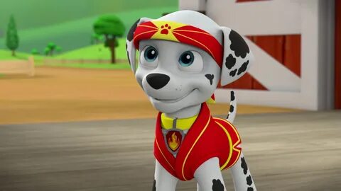 Marshall, the firepup - Marshall - PAW Patrol foto (40718615