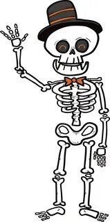 Human Skeleton Microsoft Powerpoint Clip Art - Human Skeleto